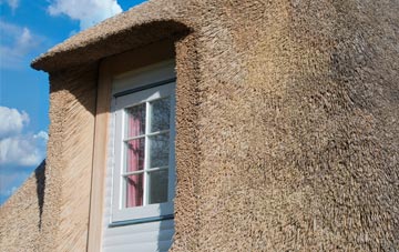 Bromdon thatch roof disadvantages