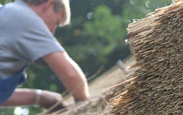 professional Bromdon thatchers